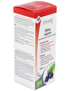 Tintura Ribes Nigrum (Grosellero Negro) de Physalis 2