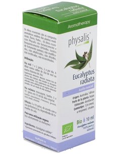 Aceite Esencial Eucalipto Radiata de Physalis 2