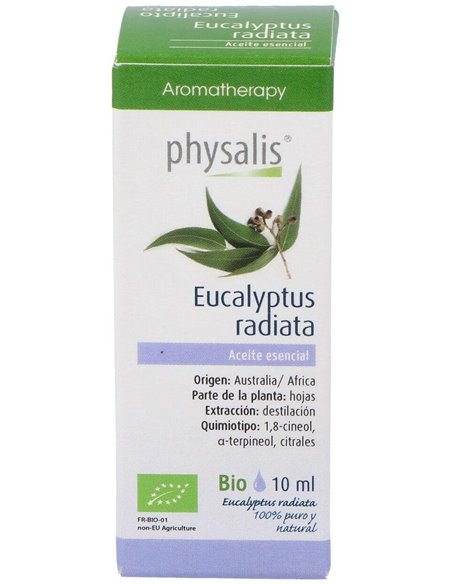Aceite Esencial Eucalipto Radiata de Physalis
