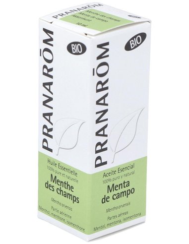 Menta De Campo Partes Aereas Bio 10 Ml de Pranarom
