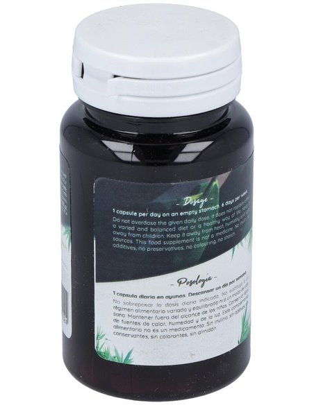 Ferment Daily 60Cap. de Probioticos San