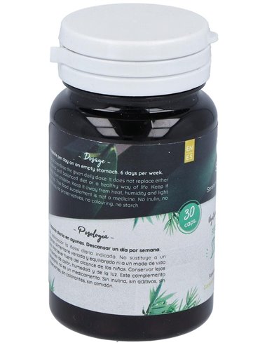 Ferment Daily 30Cap. de Probioticos San