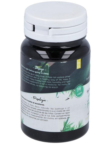 Ferment Femina 14Cap. de Probioticos San