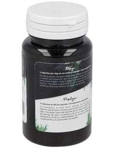 Ferment Slim 60Cap. de Probioticos San 2