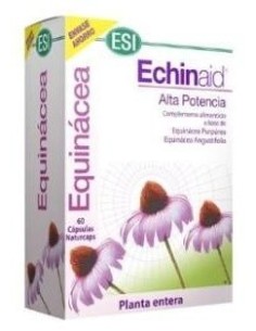 Echinaid 60Cap. de Trepatdiet-Esi 2