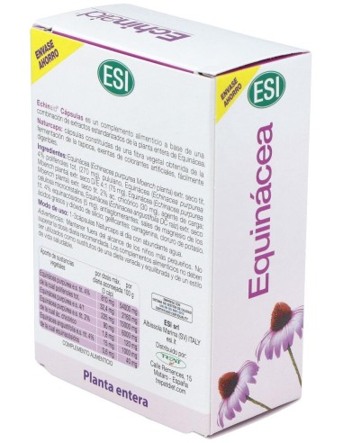 Echinaid 60Cap. de Trepatdiet-Esi