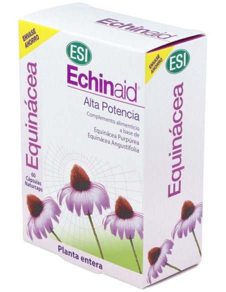 Echinaid 60Cap. de Trepatdiet-Esi
