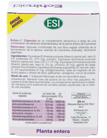 Echinaid 60Cap. de Trepatdiet-Esi