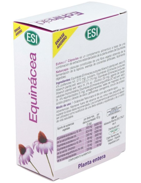 Echinaid 60Cap. de Trepatdiet-Esi