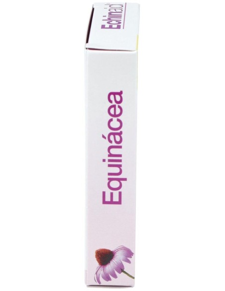 Echinaid Urto 30Cap. de Trepatdiet-Esi