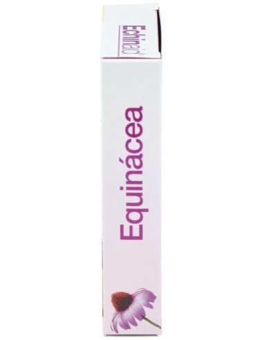 Echinaid Urto 30Cap. de Trepatdiet-Esi
