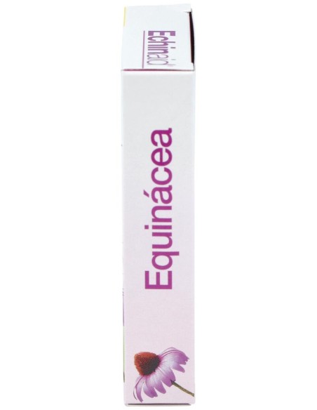 Echinaid Urto 30Cap. de Trepatdiet-Esi