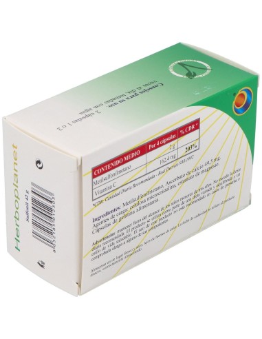 Sulfonil 60Cap. de Herboplanet