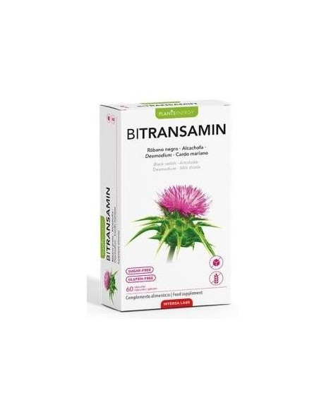Bitransamin 60Cap. de Intersa