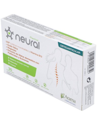 Neural 30Comp. de Arama