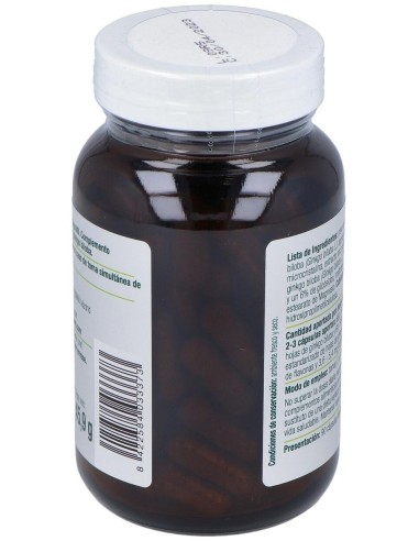 Ginkgo Biloba 90Cap. de El Granero