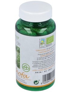 Verde De Alcachofa 80Cap. de Soria Natural 2