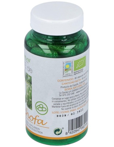 Verde De Alcachofa 80Cap. de Soria Natural