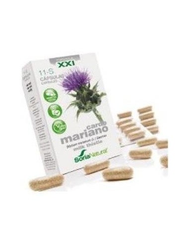 Cap.S-11 Cardo Mariano Xxi 30Cap. de Soria Natural