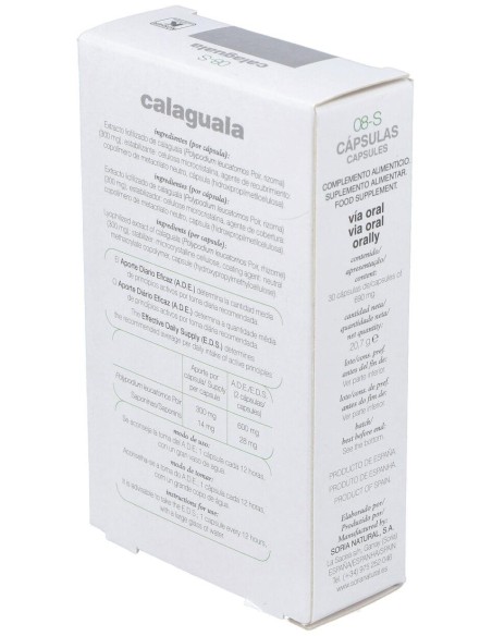 Cap.S 08 Calaguala Xxi 30Cap. de Soria Natural