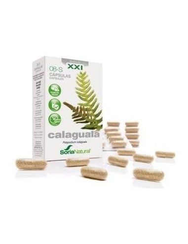 Cap.S 08 Calaguala Xxi 30Cap. de Soria Natural