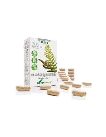 Cap.S 08 Calaguala Xxi 30Cap. de Soria Natural