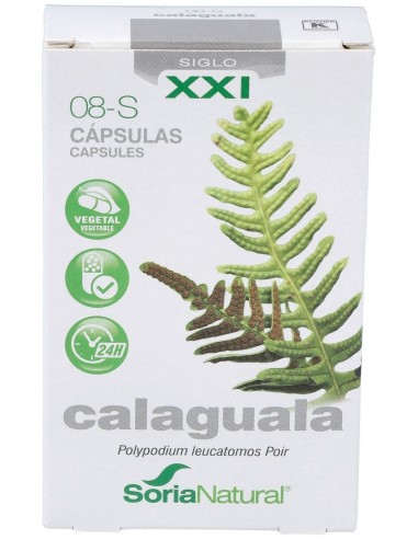 Cap.S 08 Calaguala Xxi 30Cap. de Soria Natural
