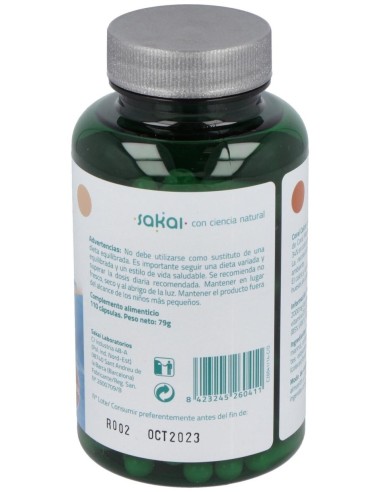 Coral Calcio 110Cap. de Sakai