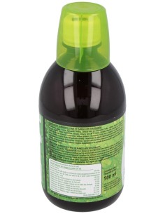 Green Coffee Plus 500 Ml de Plantapol 2