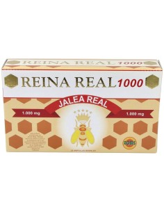 Reina Real 1000 20Amp. de Robis 2