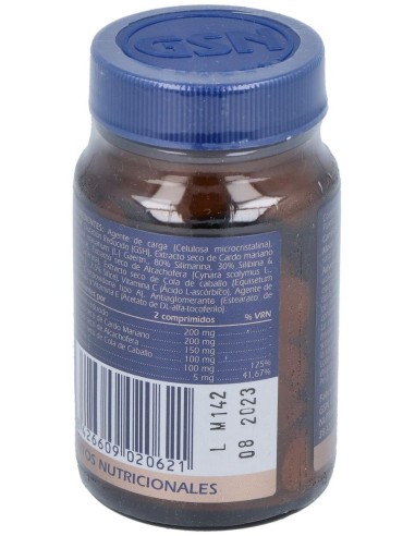 Detox 60Comp. de Gsn