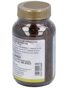 Ginkgo Biloba (24%)St 60Cap. de Cfn 2
