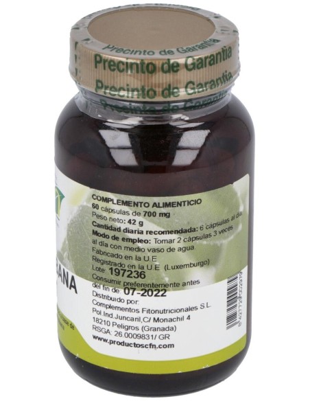 Guanaba (Graviola) 60Cap. de Cfn