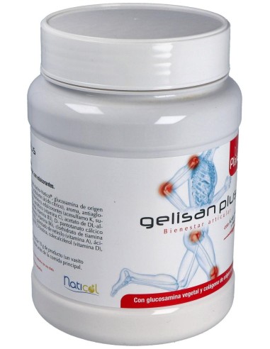 Gelisan Plus Colageno 600 G de Artesania