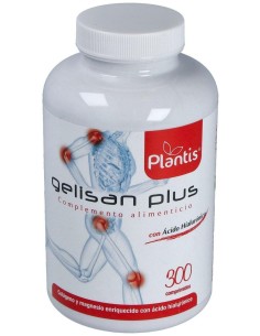 Gelisan Plus 300Comp. de Artesania 2