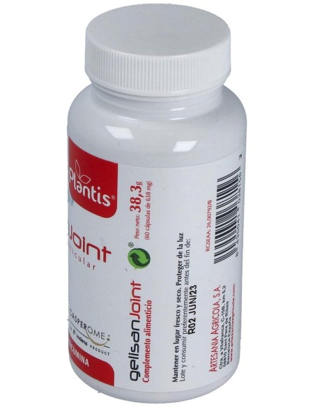 Gelisan Joint 60Cap. de Artesania