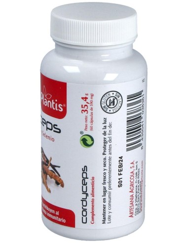 Cordyceps Plantis 60 Cap de Artesania