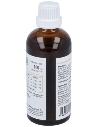 Oligoginkgo 100Ml. de Artesania
