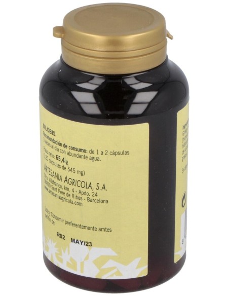 Bilobis Ginkgo Plantis 120 Cap de Artesania