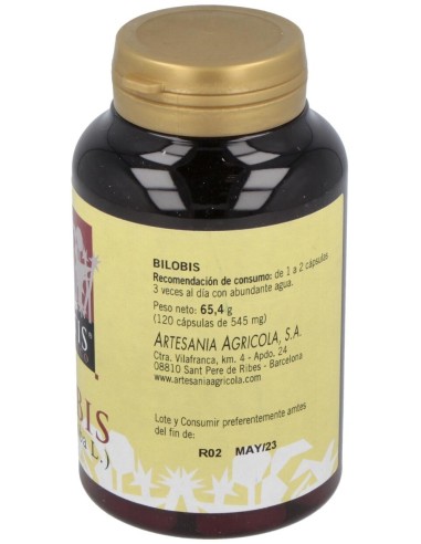 Bilobis Ginkgo Plantis 120 Cap de Artesania