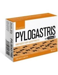 Pylogastris 90Cap. de Artesania 2