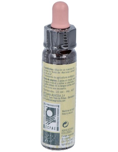 Castaño Rojo-25 Ecoplantis10Ml de Artesania