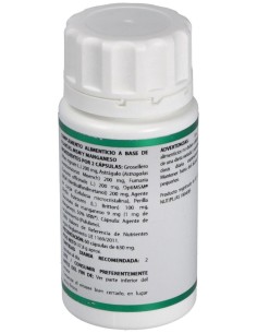 Holofit Grosellero 60Cap. de Equisalud 2