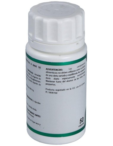Holofit Ayurveda Amalaki 50Cap. de Equisalud