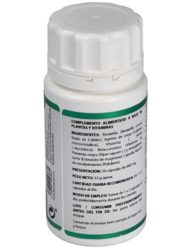 Holofit Ayurveda Boswelia 50Cap. de Equisalud