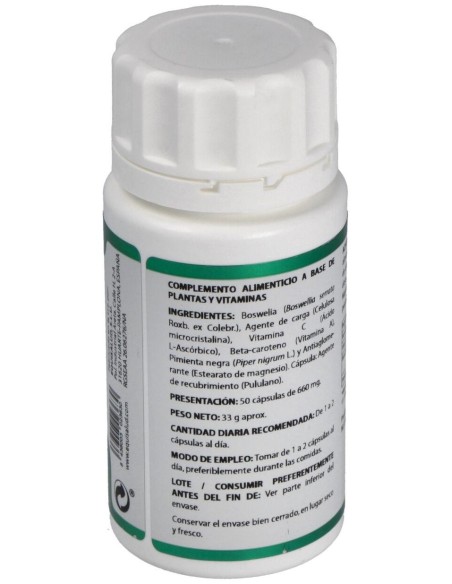 Holofit Ayurveda Boswelia 50Cap. de Equisalud