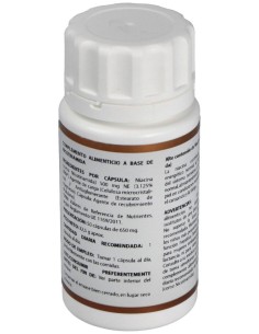 Holovit Nicotinamida 500Mg 50Cap. de Equisalud 2