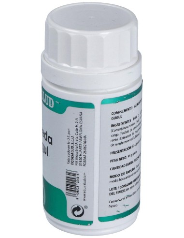 Holofit Ayurveda Guggul 50Cap. de Equisalud