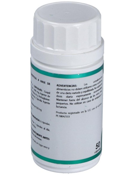 Holofit Ayurveda Guggul 50Cap. de Equisalud