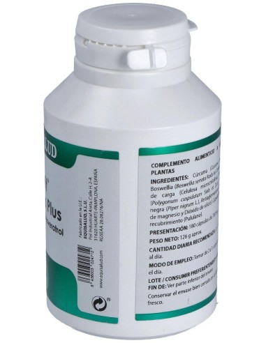 Holofit Curcuma Plus 180Cap. de Equisalud